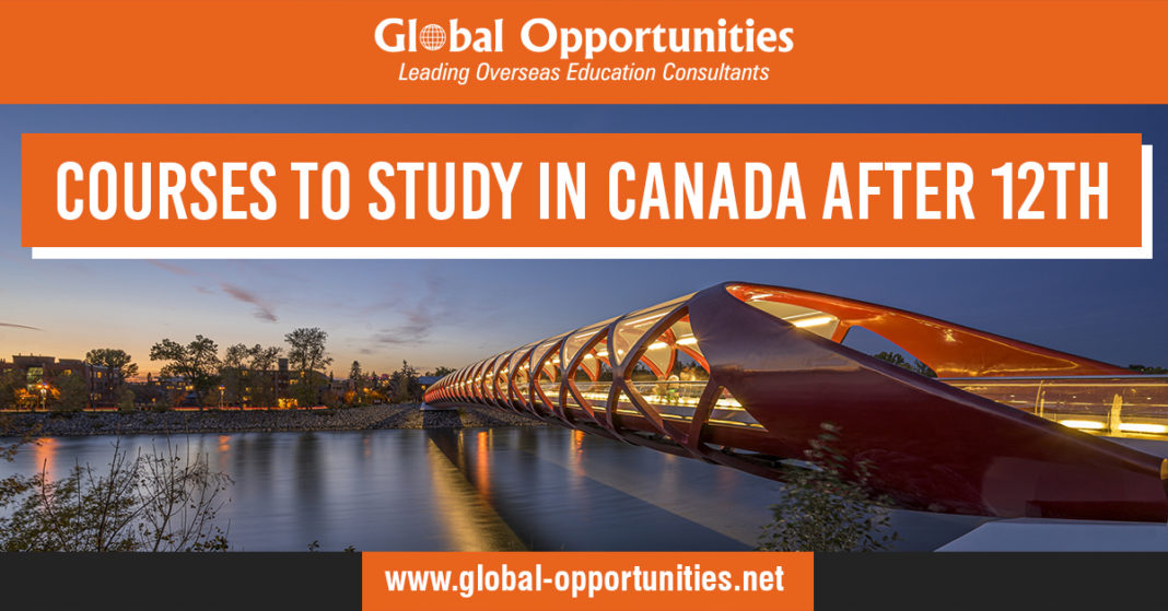 courses-to-study-in-canada-after-12th-study-abroad-blog-experiences