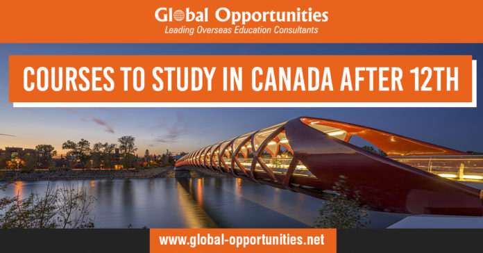 Courses to Study in Canada After 12th